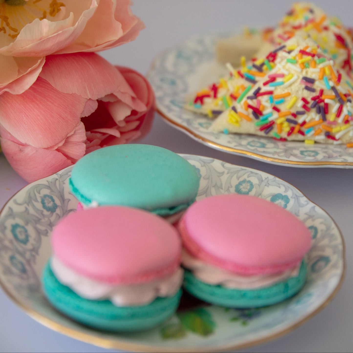 Periwinkle Party Booking